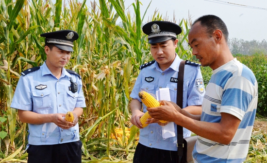 西平民警深入田間地頭護(hù)秋收（圖）