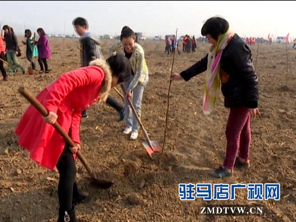 獻(xiàn)禮三八節(jié)，共植巾幗林_20160307091028.JPG