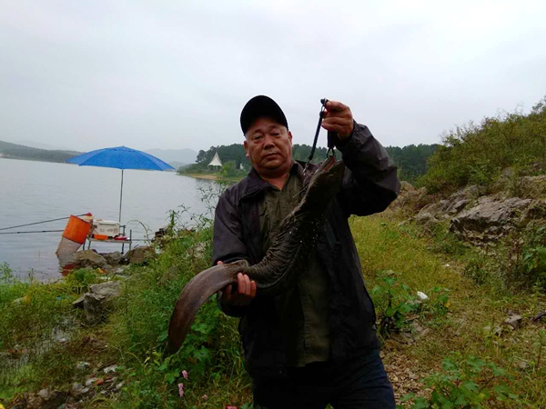 水庫釣到10斤重“娃娃魚” 駐馬店釣友當(dāng)場放生