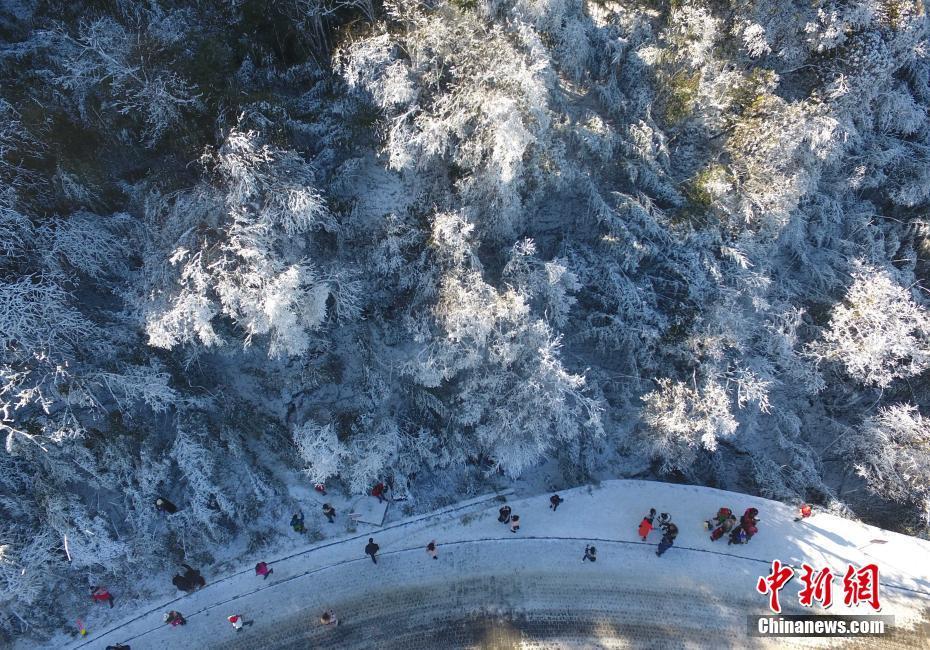 12月20日，重慶金佛山銀裝素裹雪景美如畫，吸引了不少游客前來觀賞。當(dāng)日，第19屆金佛山冰雪節(jié)正式開幕。 陳超 攝