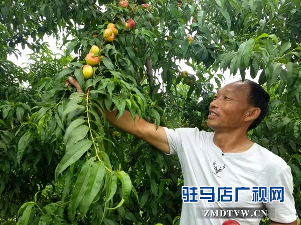 驛城區(qū)以技能培訓(xùn)拉動(dòng)創(chuàng)業(yè)