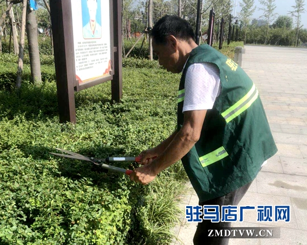 高溫下的園林工人：用汗水澆灌城市綠蔭