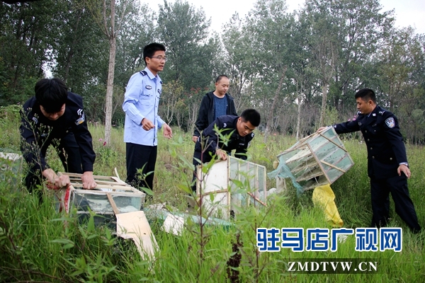 500余只野生鳥類在正陽(yáng)縣清水灣得以重歸自然