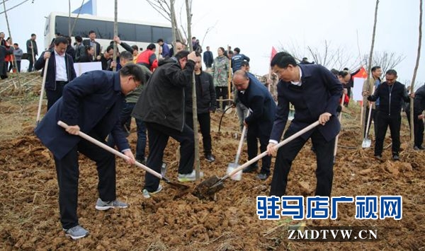 駐馬店各縣區(qū)掀起冬季義務植樹熱潮