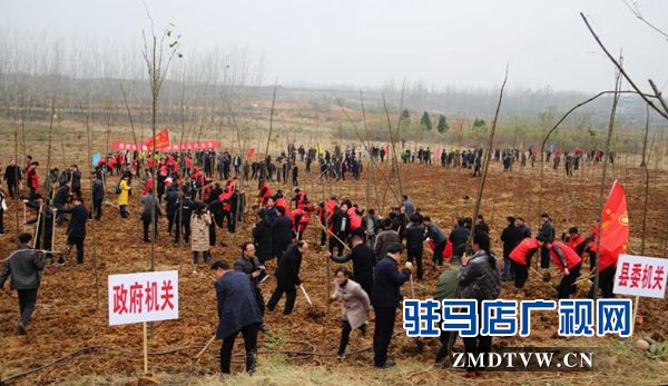 駐馬店各縣區(qū)掀起冬季義務植樹熱潮