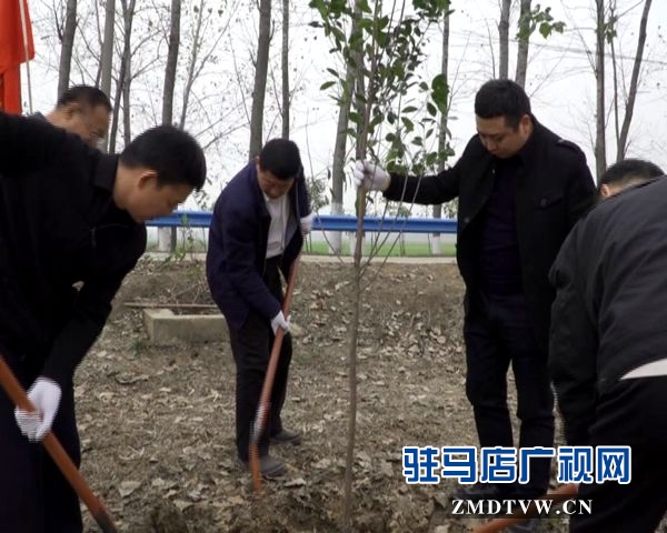 駐馬店各縣區(qū)掀起冬季義務植樹熱潮