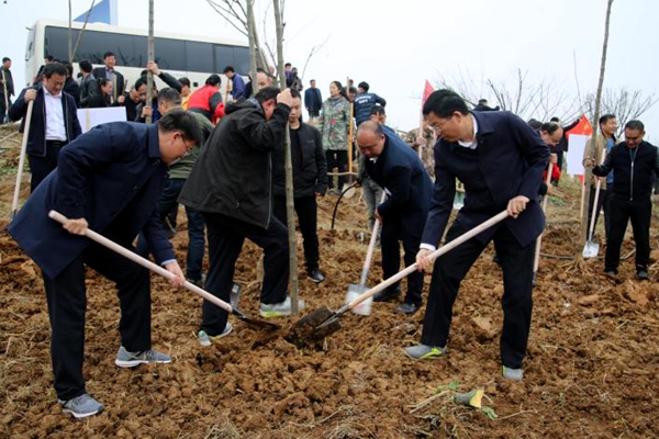 泌陽：全面啟動實施國土綠化提速行動