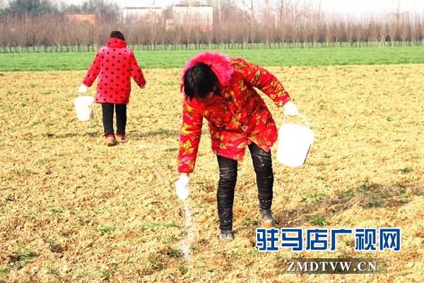 汝南縣古塔街道國土綠化提升行動掀高潮