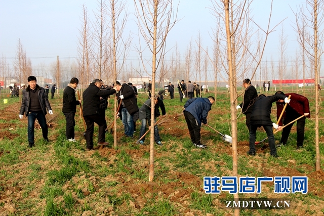 汝南縣文化廣電旅游局開展義務(wù)植樹活動