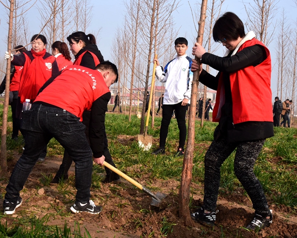  汝南：草長(zhǎng)鶯飛二月天 大好春光植樹(shù)去