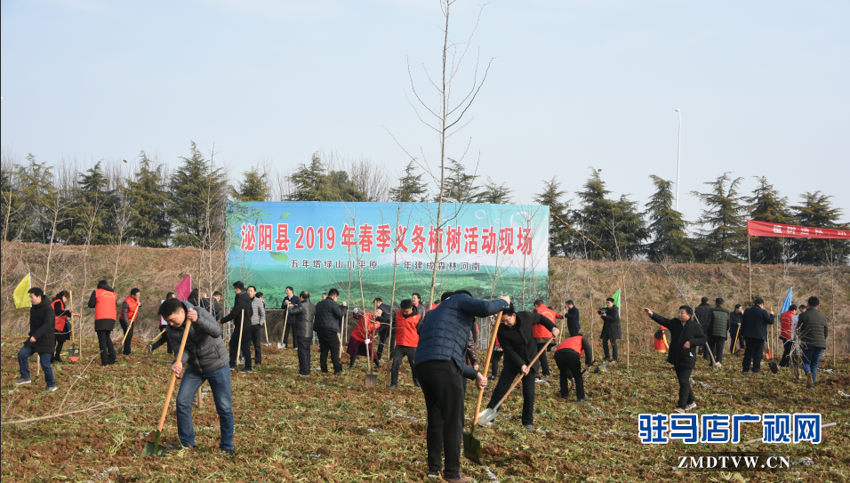 泌陽縣2019年春季義務(wù)植樹活動(dòng)啟動(dòng)