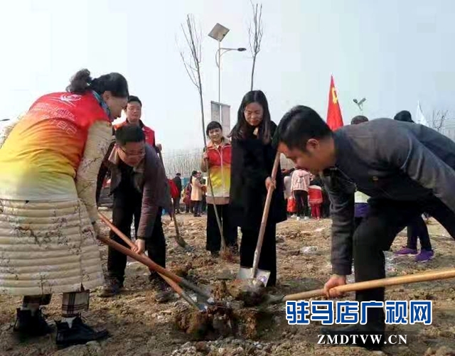 天中義工聯(lián)合會：第十座愛心綠色基地揭牌