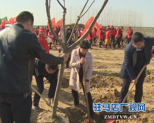 西平縣舉行大型植樹(shù)活動(dòng)暨青年林揭牌儀式