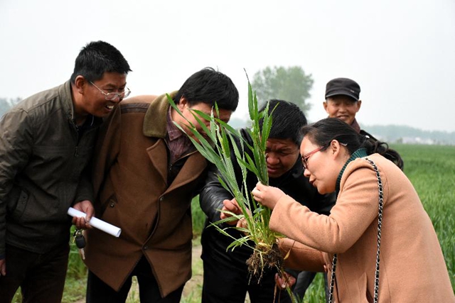 正陽：新型職業(yè)農民培訓跟蹤問效到田頭