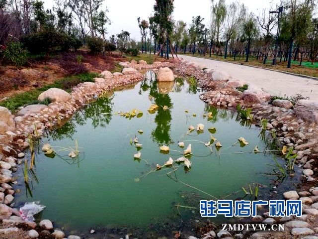 練江河主題公園景色美如畫