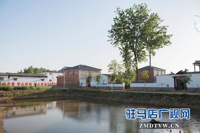 10 康建華：興村富民領(lǐng)頭雁，實事辦了一串串！.jpg