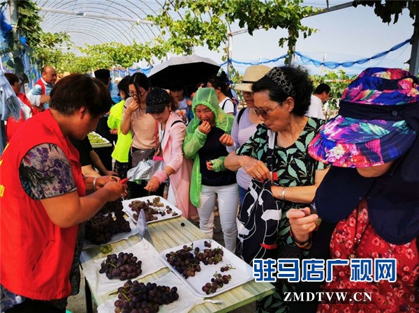 武漢旅游專列800余人赴平輿縣藍天芝麻小鎮(zhèn)觀光旅游開啟藍天芝麻小鎮(zhèn)“旅游元年”