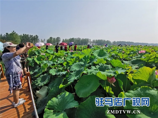 武漢旅游專列800余人赴平輿縣藍(lán)天芝麻小鎮(zhèn)觀光旅游開啟藍(lán)天芝麻小鎮(zhèn)“旅游元年”