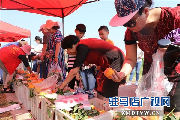 武漢旅游專列800余人赴平輿縣藍天芝麻小鎮(zhèn)觀光旅游開啟藍天芝麻小鎮(zhèn)“旅游元年”