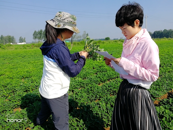 正陽(yáng)縣氣象局開展災(zāi)情調(diào)查服務(wù)“秋管”