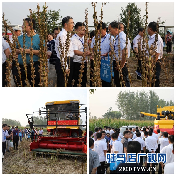 2019年平輿白芝麻產(chǎn)業(yè)大會與會人員赴藍天芝麻小鎮(zhèn)參觀考察后紛紛為小鎮(zhèn)點贊