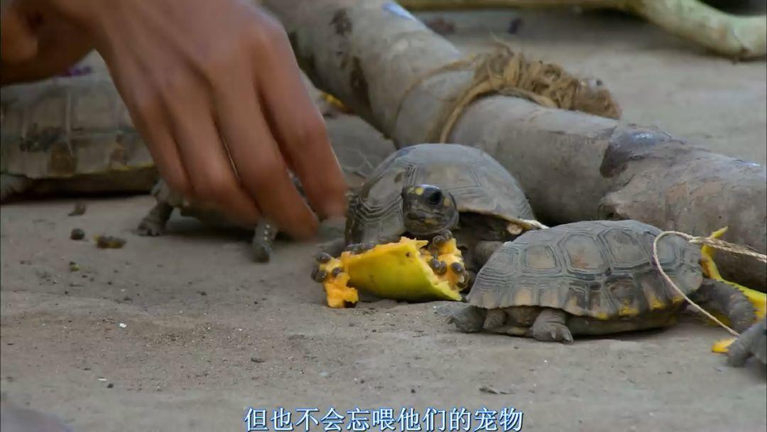 刷屏朋友圈的假「圣母」，今天必須拆穿 