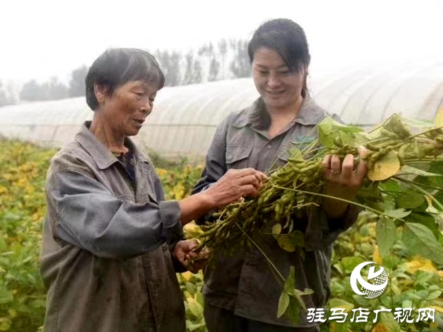 駐馬店天中生態(tài)農(nóng)業(yè)：努力為天中人民打造放心的“菜籃子”