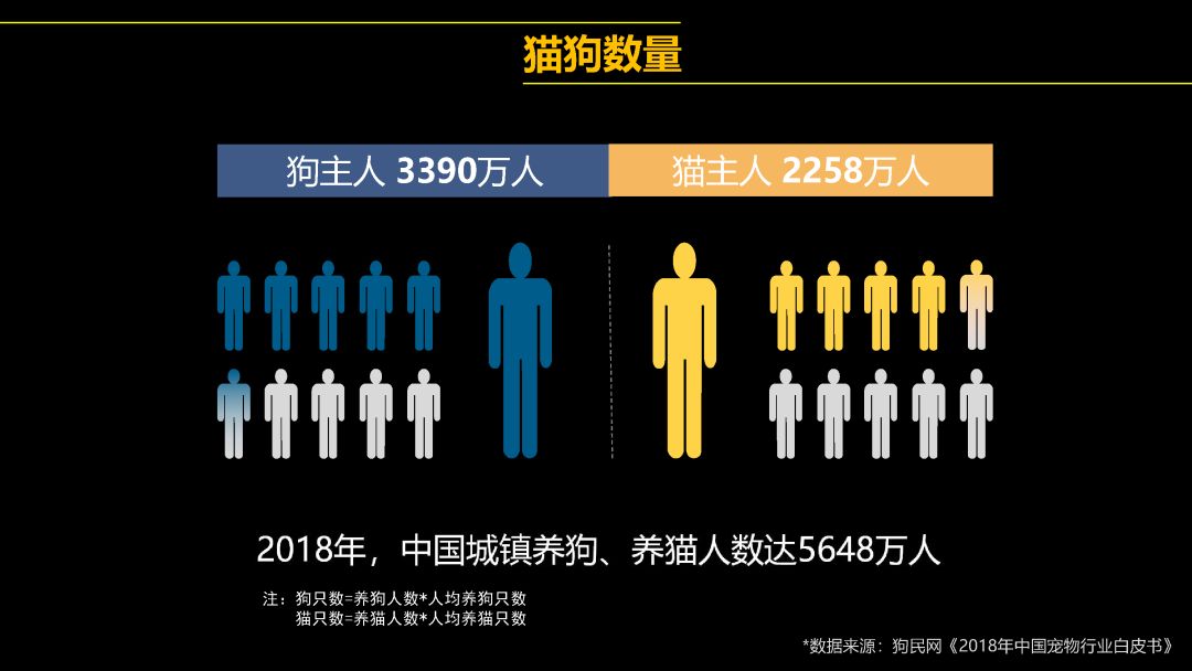 中國首只克隆貓回家了，你會花 38 萬跟去世的寵物再續(xù)前緣嗎？