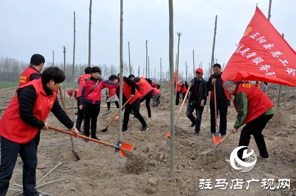 正陽縣開展秋冬添新綠義務(wù)植樹活動(dòng)