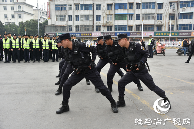 平輿公安局特巡警開展冬季巡邏防范集中宣傳活動(dòng)