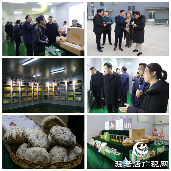 駐馬店市食品工業(yè)協(xié)會(huì)30余名會(huì)員企業(yè)家深入確山縣、泌陽縣6家會(huì)員企業(yè)觀摩走訪