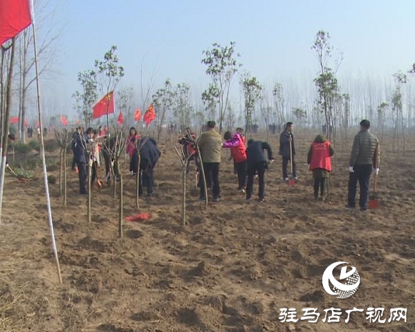 西平縣冬季植樹(shù)造林再掀新熱潮