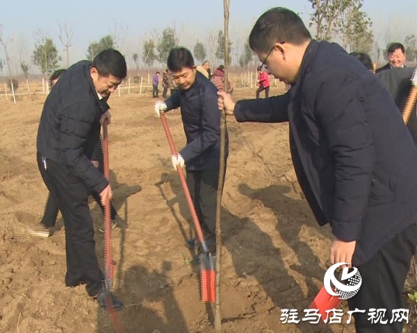 西平縣冬季植樹(shù)造林再掀新熱潮