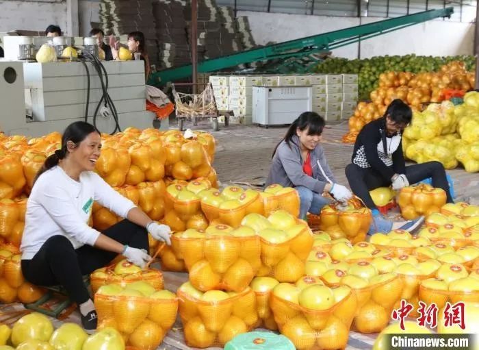 春節(jié)豬肉、蔬菜、水果會集體漲價(jià)？農(nóng)業(yè)農(nóng)村部回應(yīng)