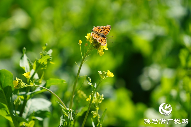 我們堅(jiān)守，為了早日重逢