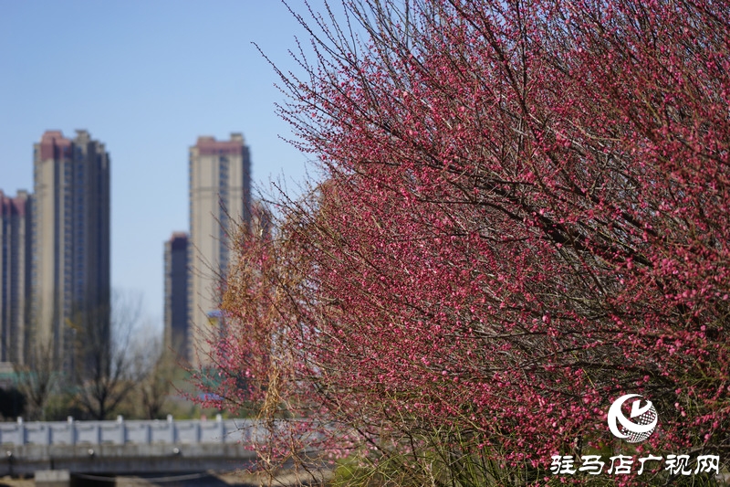 再次與自己約定，閉門不出