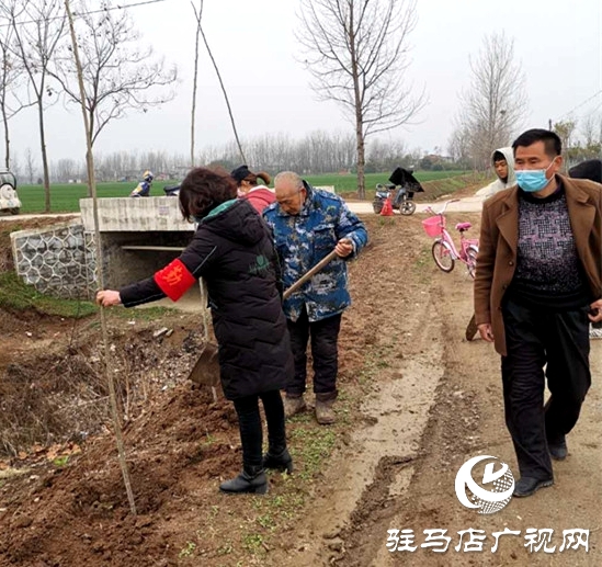 汝南縣三橋鎮(zhèn)搶抓時機忙植樹