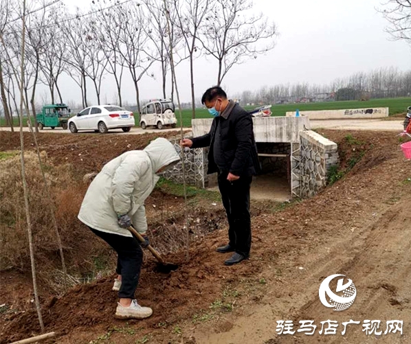 汝南縣三橋鎮(zhèn)搶抓時機忙植樹