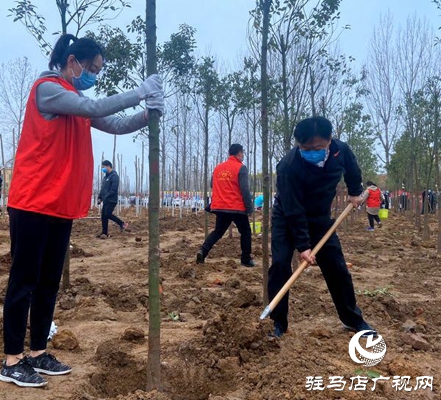 陳星 朱是西等市領(lǐng)導(dǎo)與廣大干群一起參加植樹造林活動(dòng)