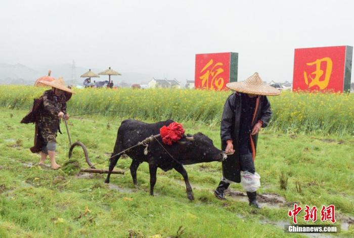 春分習俗知多少？流行“豎蛋”游戲 校對度量衡器具