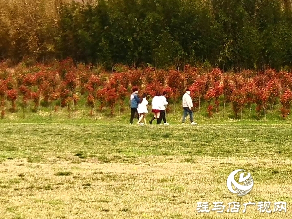 嵖岈山恢復(fù)開園 首日迎客2600多人