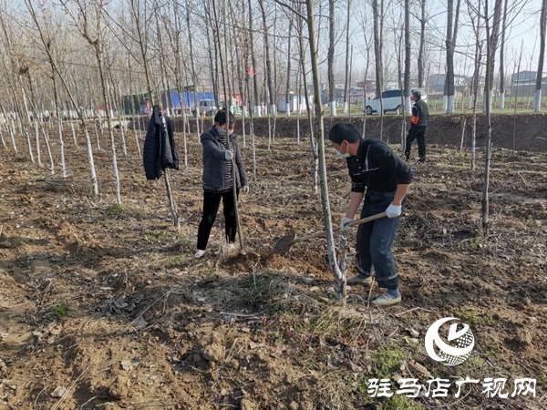 汝南縣老君廟鎮(zhèn)組建“生態(tài)護(hù)林員”隊伍助力脫貧攻堅