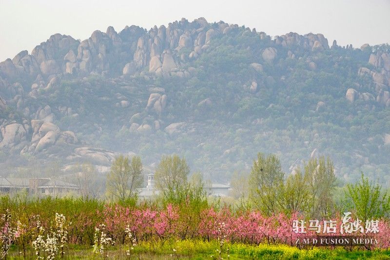 終于等到你，美麗大駐馬