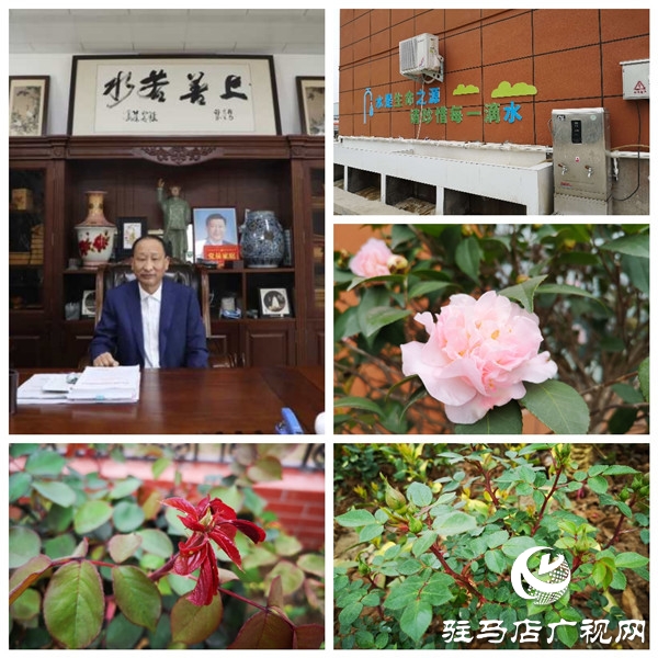 駐馬店大海商砼花園工廠——既要金山銀山，又要綠水青山