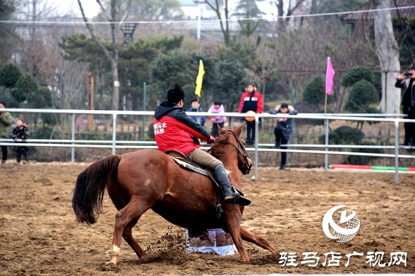 角子山下馬場(chǎng)里體驗(yàn)策馬奔騰的激情