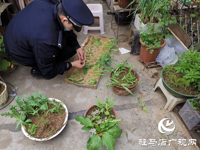 駐馬店市公安局西園分局全力開展禁毒鏟毒行動