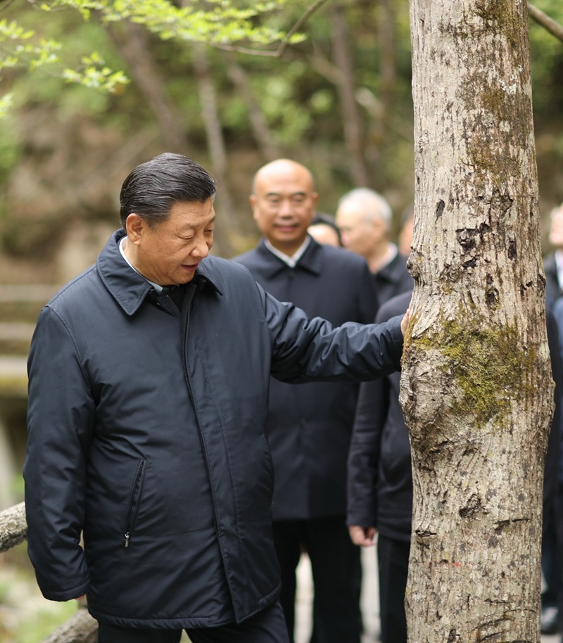 習(xí)近平在陜西考察秦嶺生態(tài)保護情況