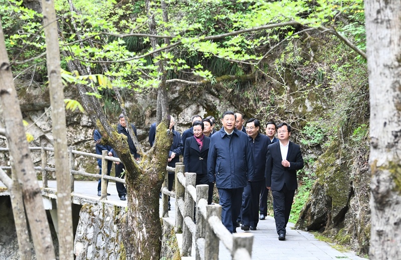 習(xí)近平在陜西考察秦嶺生態(tài)保護情況