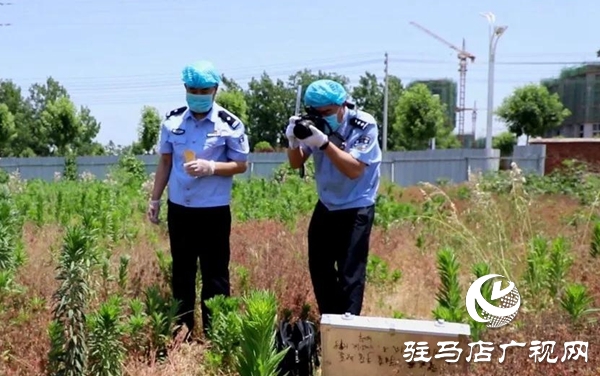 五一勞動節(jié):向堅守崗位的勞動者致敬,你們忙碌的身影最美麗！