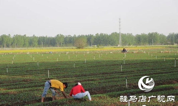 五一勞動節(jié):向堅守崗位的勞動者致敬,你們忙碌的身影最美麗！